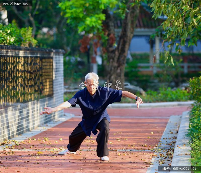 会城艇仔湖完成升级改造工程_艇仔湖,人民球场,休闲,街道,会城,活动点