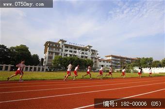 城市园林乐悠悠
