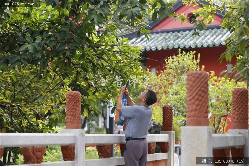 城市园林乐悠悠_城市园林,公园,景色,会城,艇仔湖