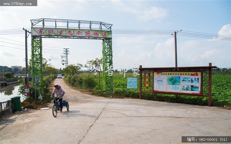 美丽水乡东风村_旅游,景色,环境,大鳌