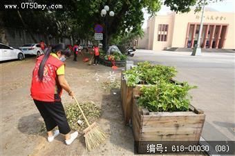 超强台风天鸽过后的义工们