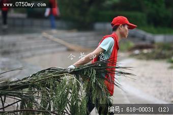 超强台风天鸽过后的义工们