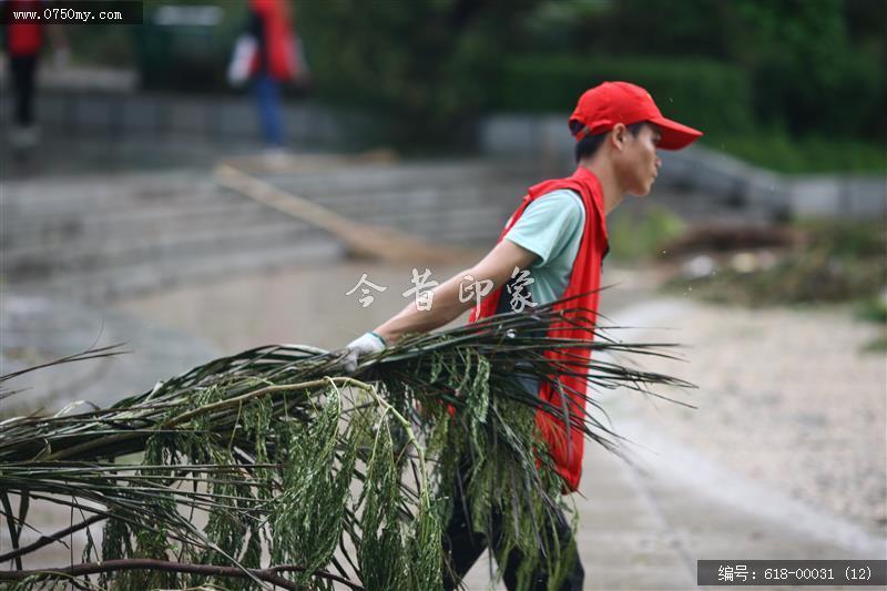 超强台风天鸽过后的义工们_超强台风天鸽,义工,义工活动,志愿者,会城,清洁,名人广场