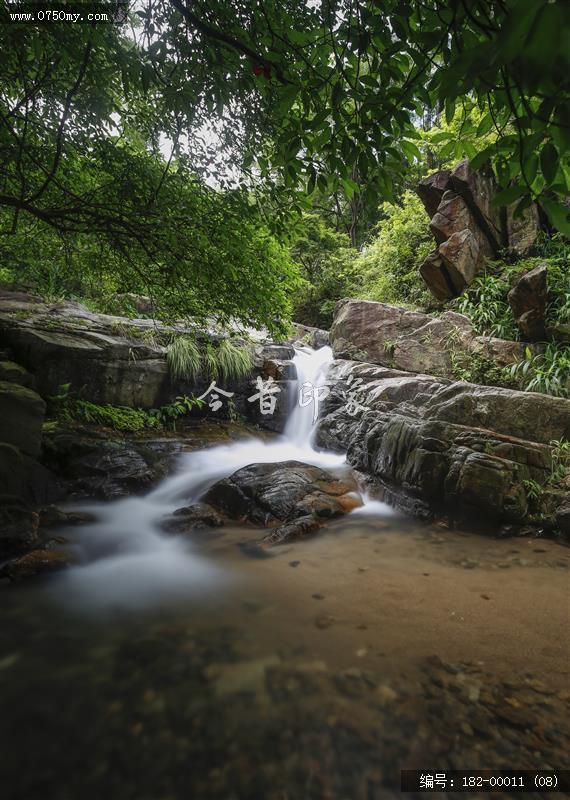 溪流潺潺_大石头景区,青山绿水,溪流,会城,景区,石涧郊野公园