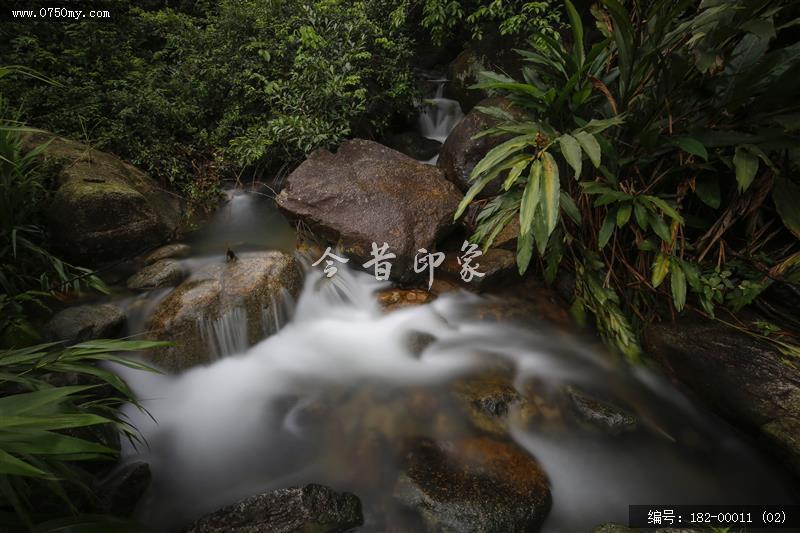 溪流潺潺_大石头景区,青山绿水,溪流,会城,景区,石涧郊野公园