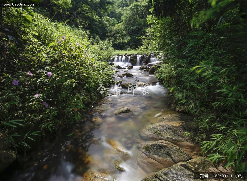 溪流潺潺_大石头景区,青山绿水,溪流,会城,景区,石涧郊野公园