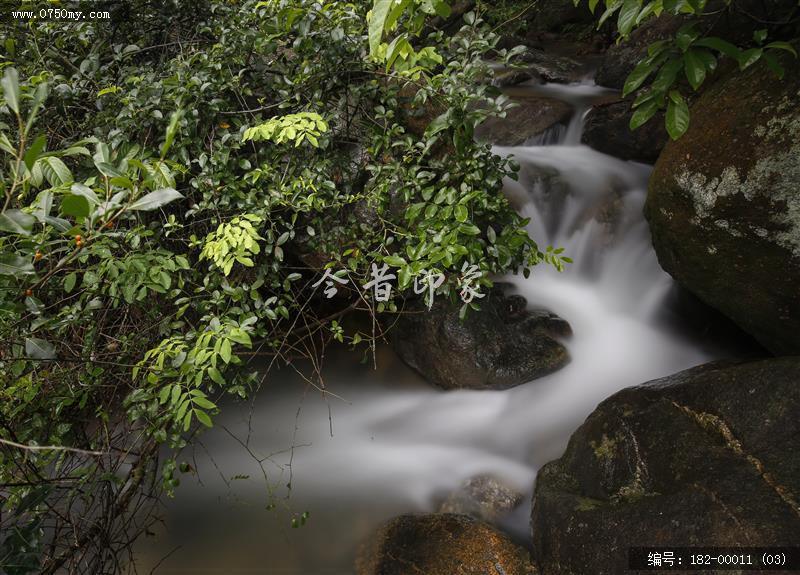 溪流潺潺_大石头景区,青山绿水,溪流,会城,景区,石涧郊野公园