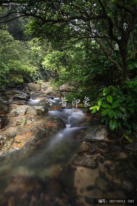 溪流潺潺_大石头景区,青山绿水,溪流,会城,景区,石涧郊野公园