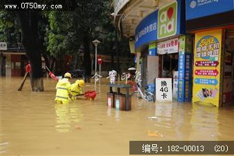 台风过后见真情