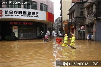 台风过后见真情