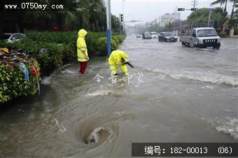 台风过后见真情