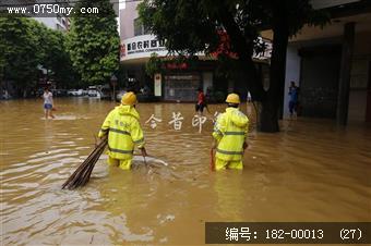 台风过后见真情