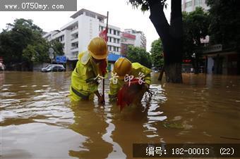 台风过后见真情