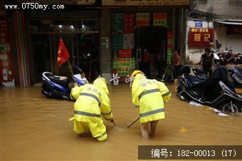 台风过后见真情