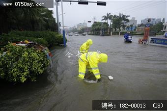 台风过后见真情