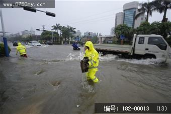 台风过后见真情