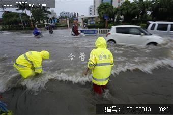 台风过后见真情