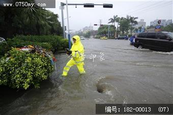 台风过后见真情