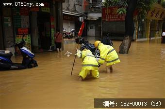 台风过后见真情