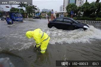 台风过后见真情