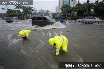 台风过后见真情