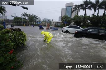 台风过后见真情