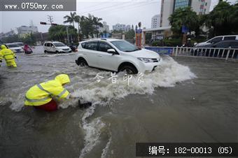 台风过后见真情