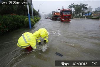 台风过后见真情