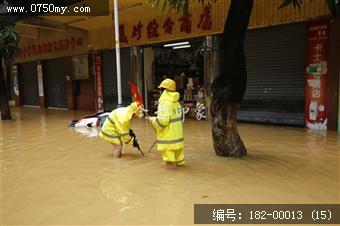 台风过后见真情