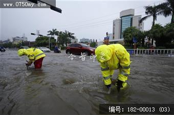 台风过后见真情