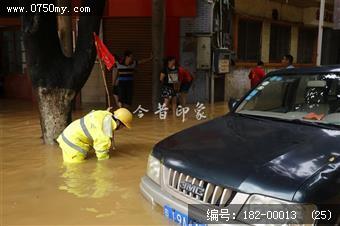 台风过后见真情