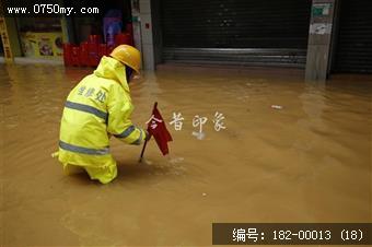 台风过后见真情