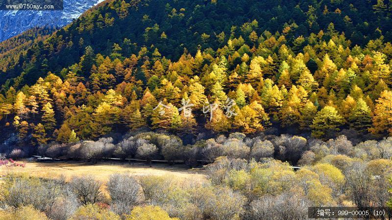 稻城亚丁_风景,景色,自然景观,自然,旅游记事