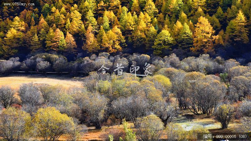 稻城亚丁_风景,景色,自然景观,自然,旅游记事