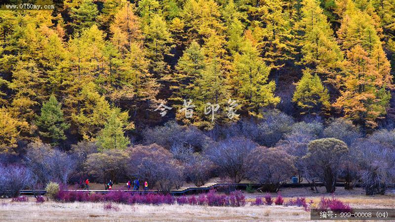 稻城亚丁_风景,景色,自然景观,自然,旅游记事