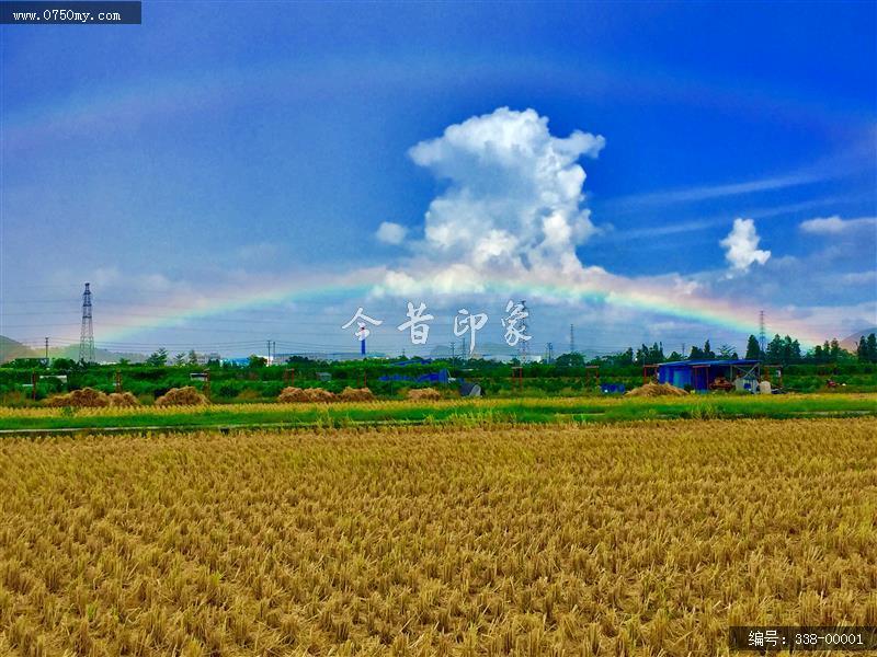 多彩大地_彩虹,农田,乡村,崖门,京背