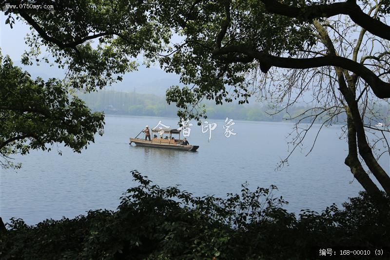 杭州西湖_西湖,美景,景色,自然景观,柳树