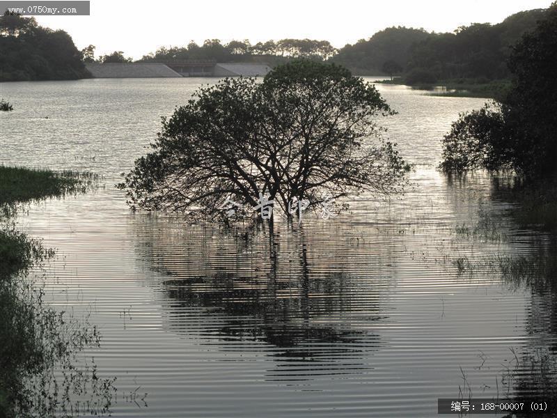 圭峰绿护屏_景色,水库,自然景观,绿化,湖面