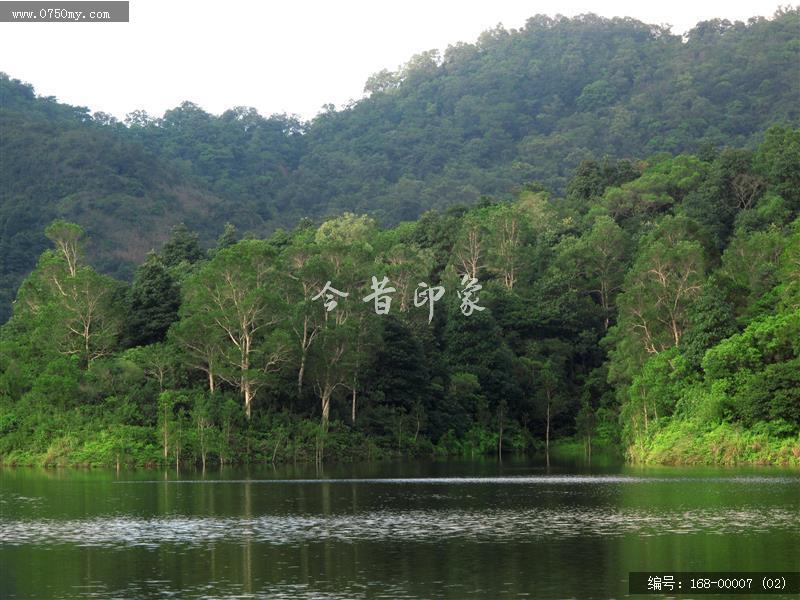 圭峰绿护屏_景色,水库,自然景观,绿化,湖面