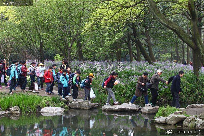 杭州太子湾_太子湖,景色,植物,旅游,景点