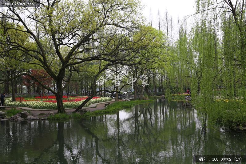 杭州太子湾_太子湖,景色,植物,树,旅游,景点