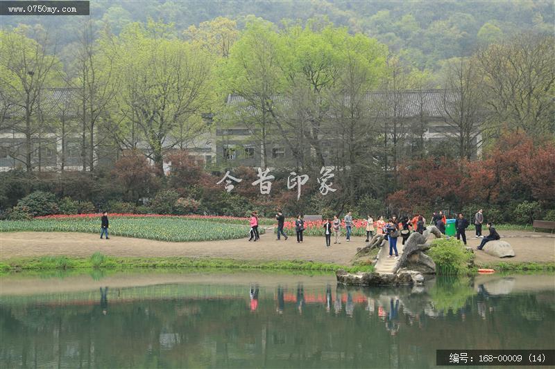 杭州太子湾_太子湖,景色,植物,树,旅游,景点