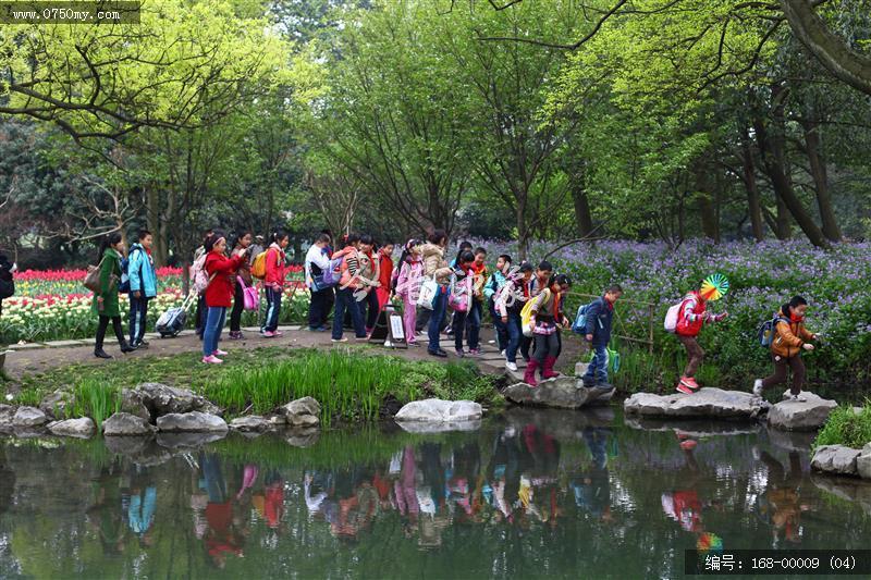 杭州太子湾_太子湖,景色,植物,旅游,景点