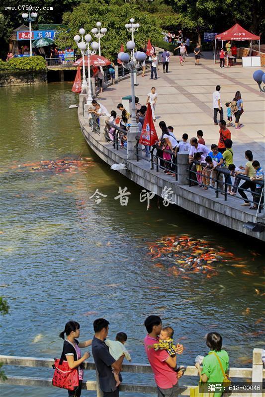 假日闲游在玉湖_圭峰,玉湖,亲子,景区,金鱼