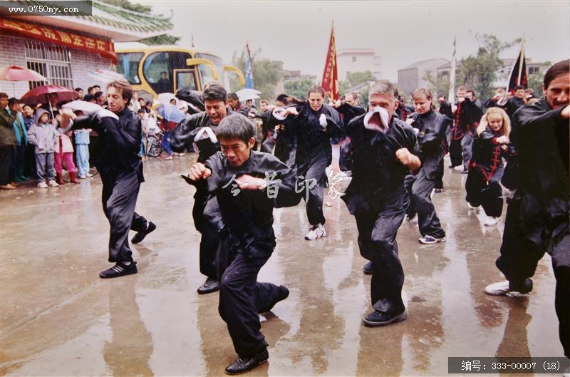 蔡李佛——武_蔡李佛拳,拳术,传统文化,蔡李佛,武术