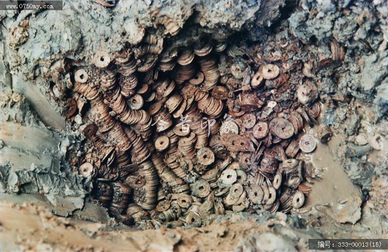 河滨宋代古钱出土_文物,考古,历史文物,挖掘,出土,古钱