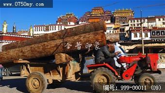 香格里拉