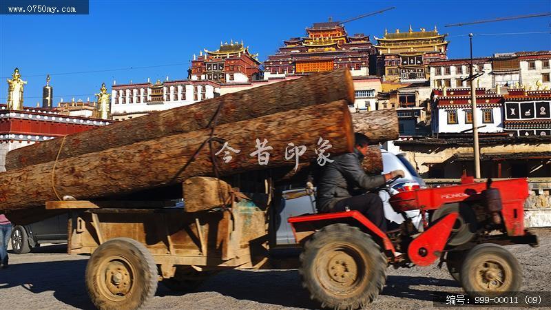 香格里拉_景区,景观,藏区,云南,景色,风景,旅游景点