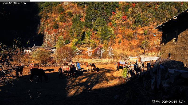 雨崩村_景色,景区,旅游,村落,藏区