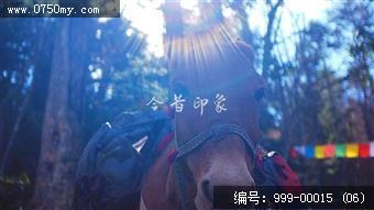 雨崩村